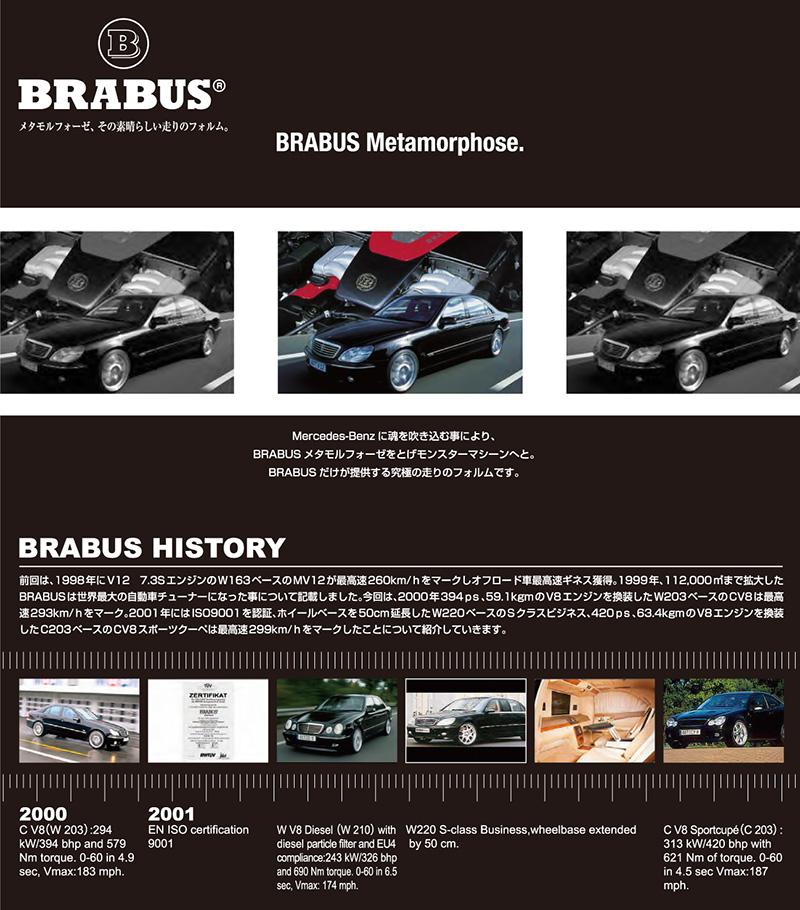 yBRABUS HISTORYz